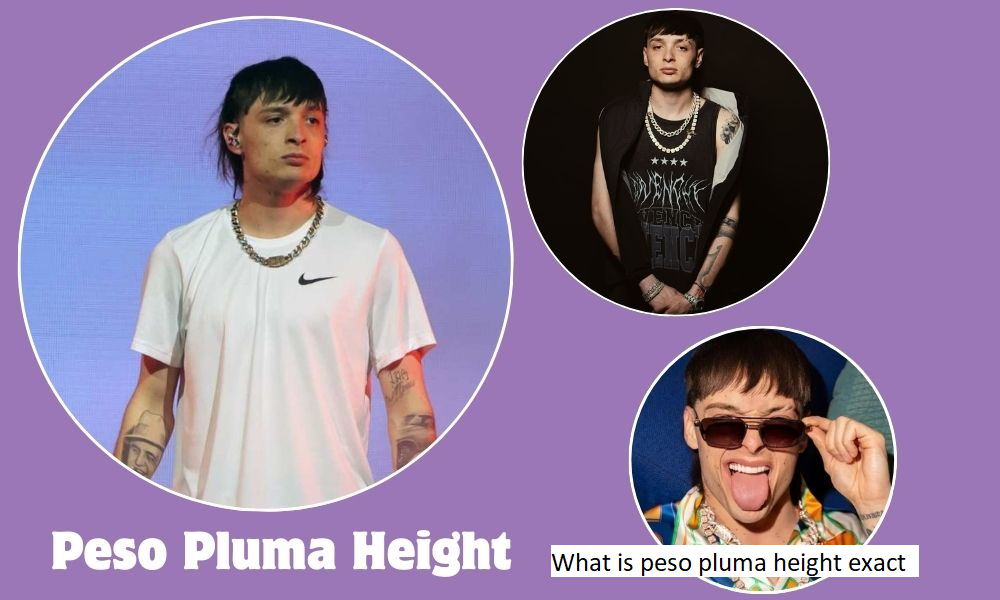 peso pluma height