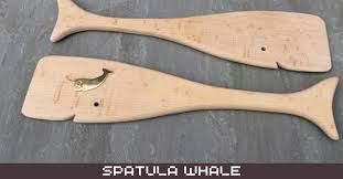 Spatula Whale